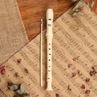 Блокфлейта Music Life, 8 отверстий, немецкая система, сопрано - Фото 2