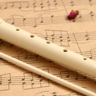 Блокфлейта Music Life, 8 отверстий, немецкая система, сопрано - Фото 4