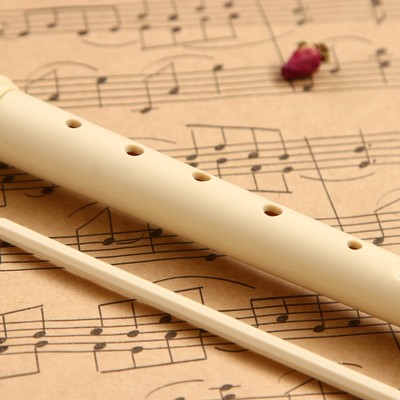 Блокфлейта Music Life, 8 отверстий, немецкая система, сопрано