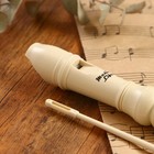 Блокфлейта Music Life, 8 отверстий, немецкая система, сопрано - Фото 5