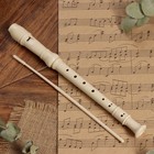 Блокфлейта Music Life, 8 отверстий, немецкая система, сопрано - Фото 7