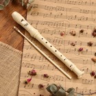 Блокфлейта Music Life, 8 отверстий, немецкая система, сопрано - Фото 9