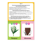 Обучающая книга «Логопедические картинки. Звук Л», 20 карточек, 24 стр. - Фото 2