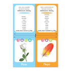 Обучающая книга «Логопедические картинки. Звук Р», 20 карточек, 24 стр. - Фото 3