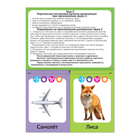 Обучающая книга «Логопедические картинки. Звук С», 20 карточек, 24 стр. - Фото 2