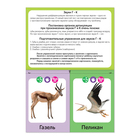 Обучающая книга «Логопедические картинки. Звук Г‒К», 20 карточек, 24 стр. - Фото 2