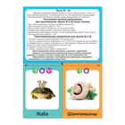 Обучающая книга «Логопедические картинки. Звук Ж‒Ш», 20 карточек, 24 стр. - Фото 2