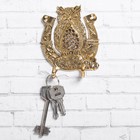 Ключница "Сова с подковой", 8 х 9,2 см, латунь - фото 8876862