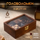 Набор головоломок 6 в1, 17.5×12×6 см, дерево шишам - Фото 1