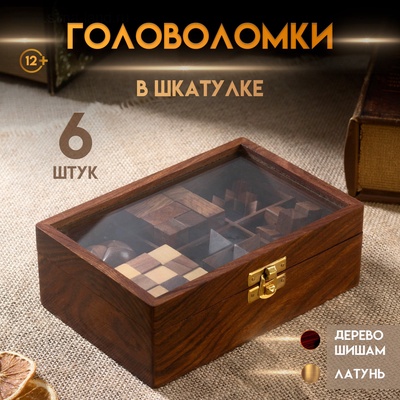 Набор головоломок 6 в1, 17.5×12×6 см, дерево шишам