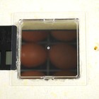 Инкубатор бытовой «Золушка», на 70 яиц, автоматический переворот, 220 В - Фото 6
