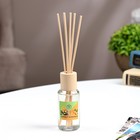 Диффузор ароматический "Модерн", 50 мл, цитрус и ваниль, 8 марта, "Богатство Аромата" - Фото 2