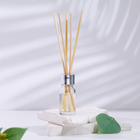 Диффузор ароматический «Богатство Аромата», «зелёный чай, сосна, ментол», 3 шт. по 10 мл - Фото 2