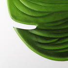 Салфетка сервировочная на стол «Тропики», 46×42 см, зелёная - Фото 3