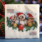 Салфетки новогодние бумажные «Совята», 2 слоя, 33×33 см, 20 шт. - Фото 4