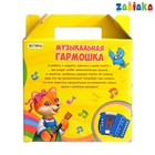 Музыкальная игрушка «Гармонь», цвет МИКС, уценка 4570395 - фото 1058548