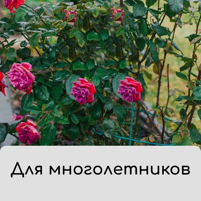 Чехол для укрытия растений, металлический каркас, 80×35 см, спанбонд с УФ-стабилизатором, плотность 60 г/м²