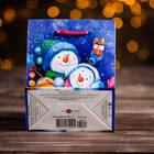 Пакет подарочный новогодний «Семья снеговиков», 11.5×14.5×6.5 см 4622936