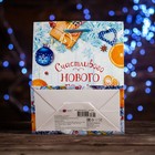 Пакет подарочный «Счастливого Нового Года», 18×22.3×10 см - Фото 2