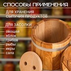 Кадка-бочка для засолки дубовая, 5 л, нержавеющий обруч, с крышкой, с гнетом 4606520 - фото 1058905