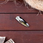 Нож складной «Медведь на охоте», 12.6 см, клинок 70 мм/2.3 мм - Фото 4