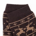 Носки женские махровые, цвет МИКС, размер 23 (комплект 5 шт) - фото 30990263