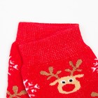 Носки женские махровые, цвет красный, размер 25 (комплект 5 шт) - фото 23295082