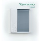 Шкаф-зеркало Жемчужина (с подсветкой ) Левый 55 15 см х 55 см х 70 см 4612909 - фото 319925759
