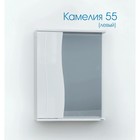 Шкаф-зеркало Камелия (с подсветкой ) Левый 55 15 см х 55 см х 70 см 4612913 - фото 319925762