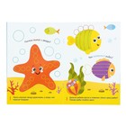 Книги многоразовые с маркером «Напиши и сотри. Развиваем мелкую моторику», набор 2 шт. по 12 стр. - Фото 9