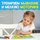 Книги с маркером «Напиши и сотри. Лабиринты и путаницы», набор 2 шт. по 12 стр., многоразовые - Фото 3