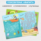 Книги с маркером «Напиши и сотри. Лабиринты и путаницы», набор 2 шт. по 12 стр., многоразовые - Фото 4