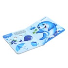 Книги картонные с глазками «Цвета и режим дня», набор 2 шт. по 10 стр. 4609385