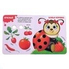 Книги картонные с глазками «Цвета и режим дня», набор 2 шт. по 10 стр. 4609385