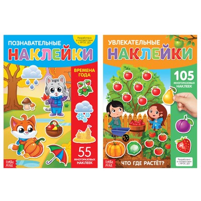Книги с наклейками многоразовыми «Мир вокруг меня», набор 2 шт.