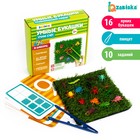 Развивающий набор «Умные букашки», 16 фигурок, полянка, по методике Монтессори, 3+ - Фото 1