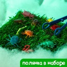 Развивающий набор «Умные букашки», 16 фигурок, полянка, по методике Монтессори, 3+ - Фото 3