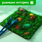 Развивающий набор «Умные букашки», 16 фигурок, полянка, по методике Монтессори, 3+ - Фото 4