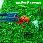 Развивающий набор «Умные букашки», 16 фигурок, полянка, по методике Монтессори, 3+ - Фото 5