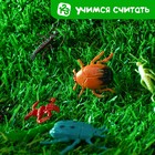 Развивающий набор «Умные букашки», 16 фигурок, полянка, по методике Монтессори, 3+ - Фото 7