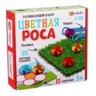 Развивающий набор «Цветная роса», 30 камешков, полянка, по методике Монтессори, 3+ - Фото 7
