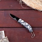 Нож складной «Черепа», 14 см, клинок 66 мм/1 мм - Фото 1