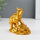 Нэцке полистоун золото "Слон на горке монет" 8,7х7,5х5,4 см - фото 8878740