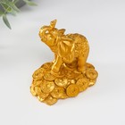 Нэцке полистоун золото "Слон на горке монет" 8,7х7,5х5,4 см - фото 9879283
