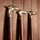 Трость "Решение"МИКС 92х11х2,5 см - Фото 2