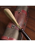 Ложка для обуви «Лошадь в подкове», 4×2.5×52 см, латунь 4211345