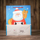 Пакет подарочный «Письмо от Деда Мороза», 26 х 32 х 12 см 4622953