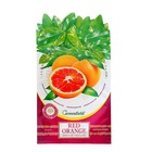 Ароматизатор-освежитель воздуха, Greenfield «Red Orange» - Фото 1