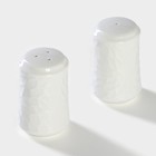 Набор для специй BellaTenero «Кракле», солонка 100 мл, перечница 100 мл, сахарница с ложкой 350 мл, на бамбуковой подставке, фарфор, белый - Фото 4