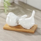 Набор фарфоровый для специй на деревянной подставке Доляна «Воробушки», 2 предмета: солонка, перечница, цвет белый - Фото 1